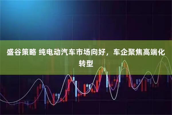 盛谷策略 纯电动汽车市场向好，车企聚焦高端化转型