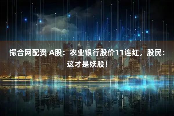 撮合网配资 A股：农业银行股价11连红，股民：这才是妖股！