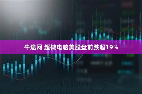 牛途网 超微电脑美股盘前跌超19%