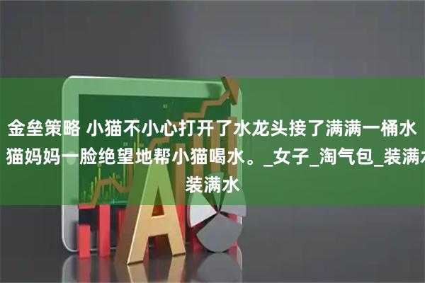 金垒策略 小猫不小心打开了水龙头接了满满一桶水,猫妈妈一脸绝望地帮小猫喝水。_女子_淘气包_装满水
